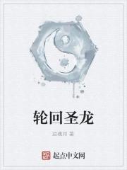 轮回圣龙 轮回圣龙